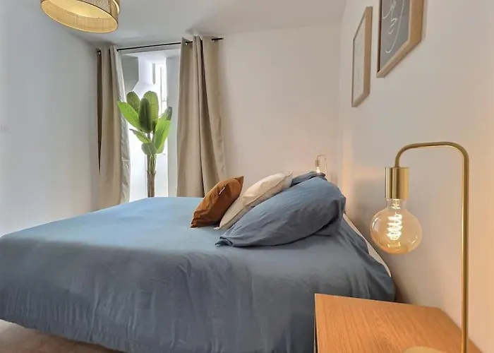 Apartman Le Victor Hugo, L'appartement Valentinois